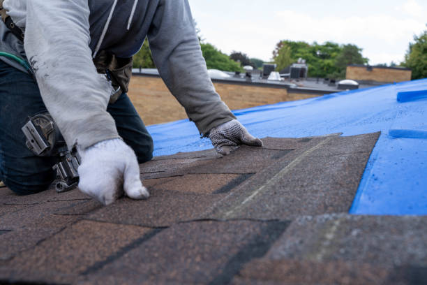 Best Flat Roof Repair Services  in Northchase, NC