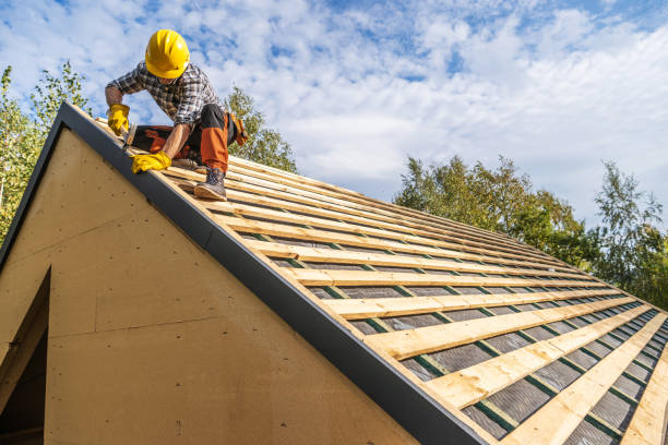 Roof Gutter Cleaning in Northchase, NC